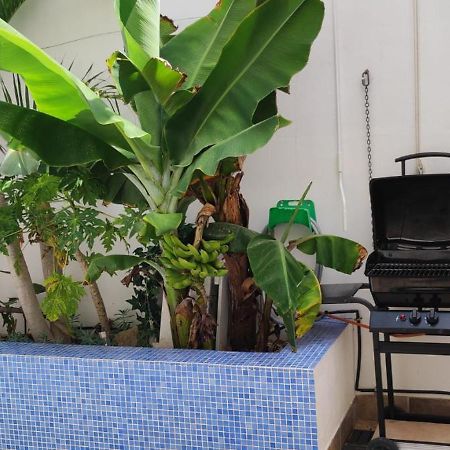 Casa El Olivo, Tenerife Valle de San Lorenzo Екстер'єр фото
