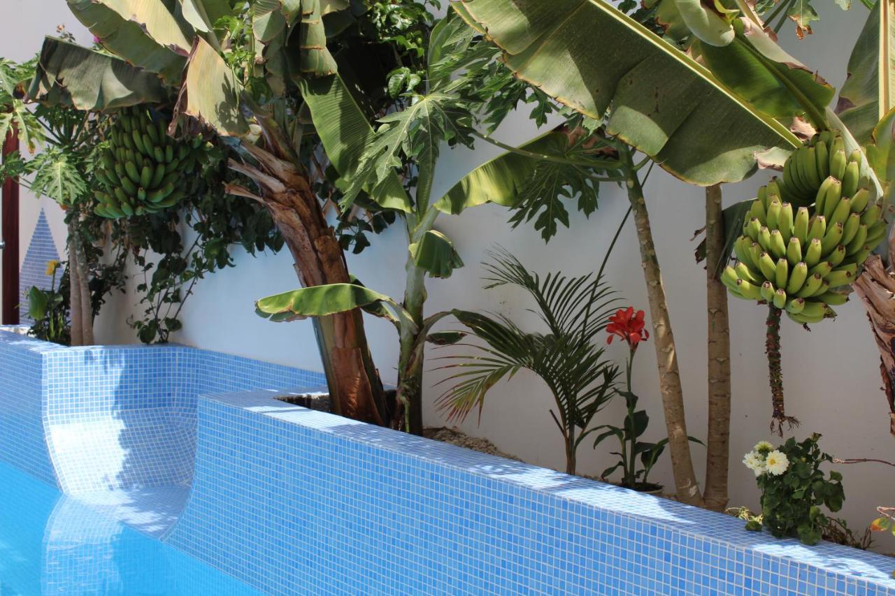 Casa El Olivo, Tenerife Valle de San Lorenzo Екстер'єр фото
